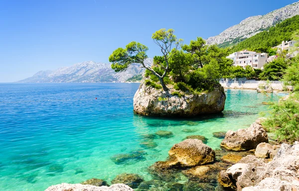 Costa en Brela en Makarska Riviera, Dalmacia, Croacia — Foto de Stock