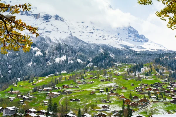 Zima a jaro v Alpách, region Jungfrau, Švýcarsko — Stock fotografie