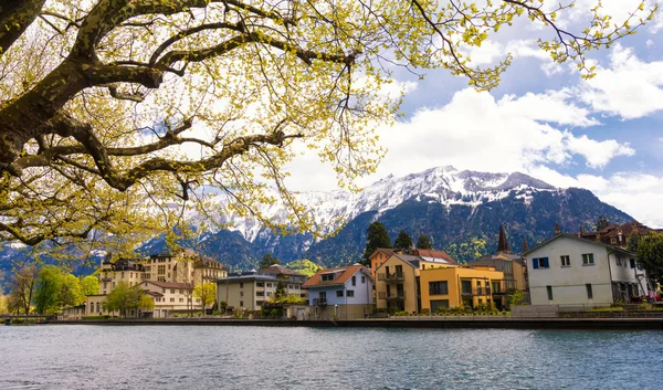 Alpler Dağı ve Interlaken kasaba İsviçre'bahar üzerinde görüntüleme