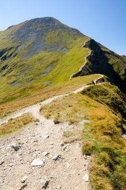 Polonya'da güzel Batı Tatra Dağları