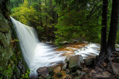 Polonya 'da sonbaharda dev dağlarda güzel bir şelale