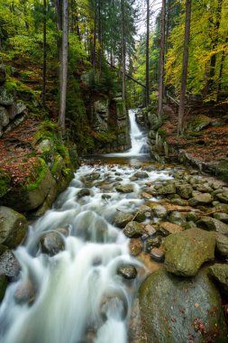 Polonya 'da sonbaharda dev dağlarda güzel bir şelale