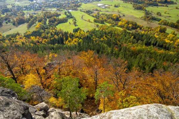 Piękny Jesienny Krajobraz Kolorowymi Drzewami Zielonymi Polami — Zdjęcie stockowe