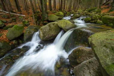 Sonbaharda Polonya 'daki Giant Dağı' nda güzel bir şelale.