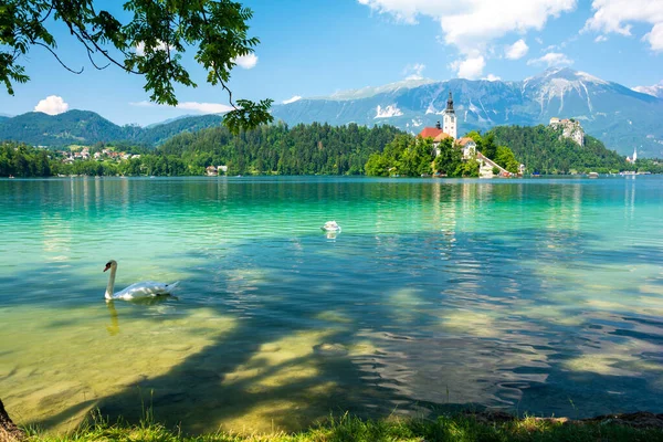Lihat Danau Bled Dan Alpen Slovenia — Stok Foto