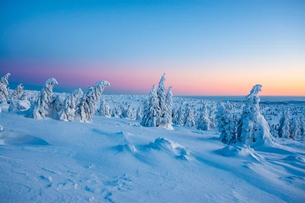 Winter Landscape Karkonosze Mountains Sunrise Poland Stock Image
