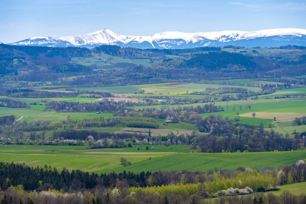 View Sudety Snowy Karkonosze Mountains Green Meadows Spring Poland — Stock Photo, Image