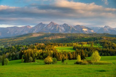 Polonya 'da gün batımında yeşil çayırlı Tatra dağlarının manzarası
