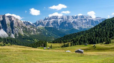 Güney Tirol 'deki Dolomites dağlarının altındaki güzel çayır.