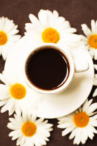 Kubek czarnej kawy, otoczony z chamomiles biały — Zdjęcie stockowe