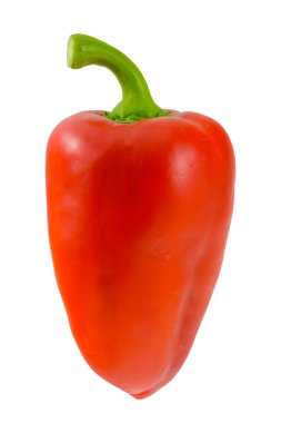 Kırmızı biber beyaz arkaplanda izole edildi