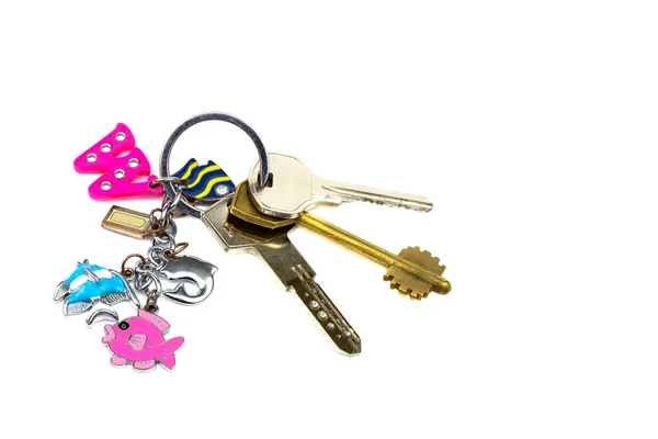 Keys with a keychainof  isolated on white background — Stock Photo, Image