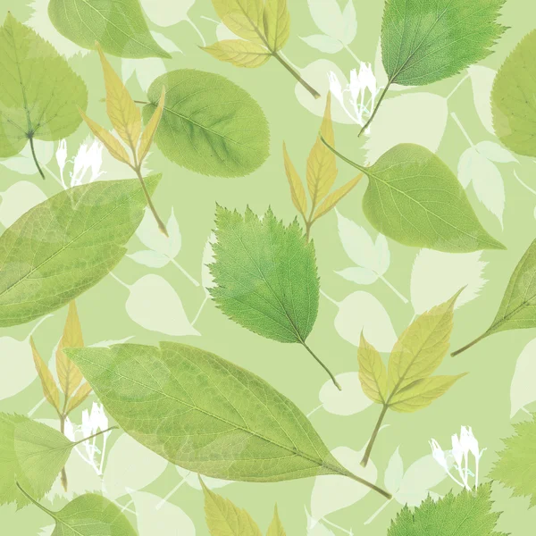 Sfondo senza soluzione di continuità foglie verdi — Foto Stock