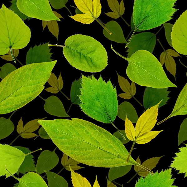 Płynne zielone liście tła — Zdjęcie stockowe