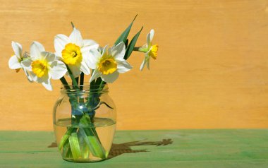 Nergis ahşap arka plan üzerinde cam vazoda