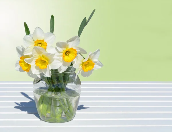 Daffodils in a glass vase — Stock Photo, Image