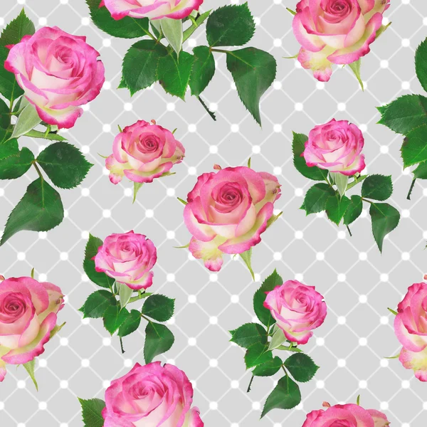 Nahtlose Rosen Hintergrund — Stockfoto