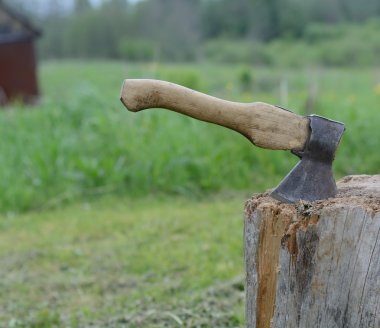 bir günlüğüne axe