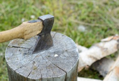 bir günlüğüne axe