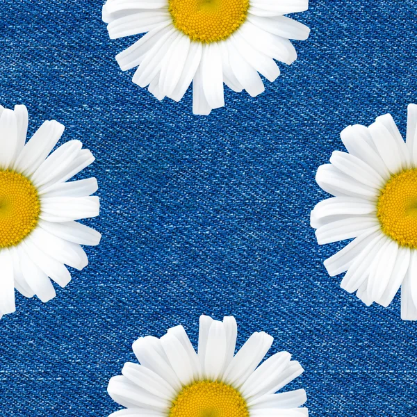 Daisy flores sem costura padrão no fundo jeans — Fotografia de Stock