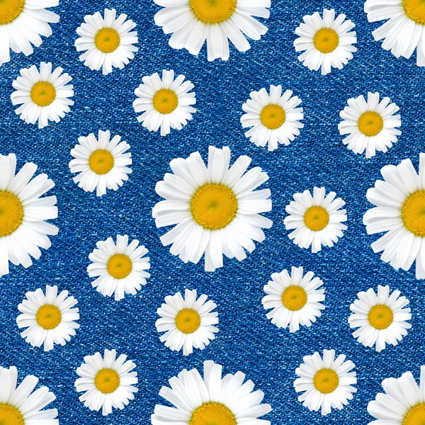 Daisy fleurs motif sans couture sur fond de jeans — Photo