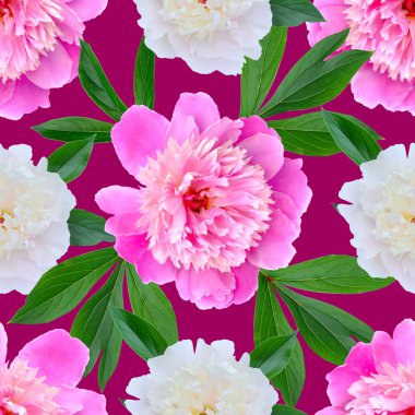 pembe peonies ile sorunsuz çiçek desenli