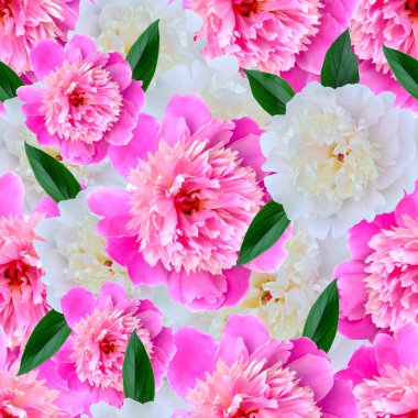 pembe peonies ile sorunsuz çiçek desenli