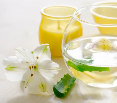 Aloe vera suyu dilimleri ile. Spa konsept.