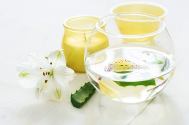 Aloe vera suyu dilimleri ile. Spa konsept.