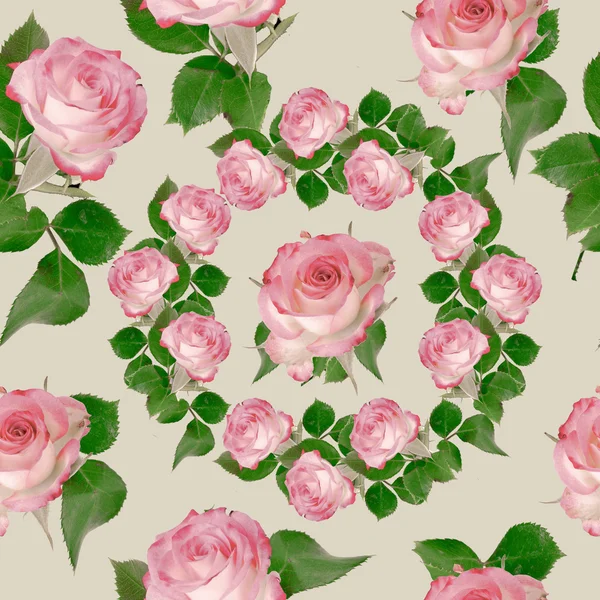 Nahtlose Rosen Hintergrund. — Stockvektor