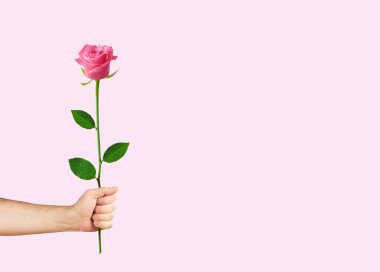 Elleri pembe gül tutan erkekler