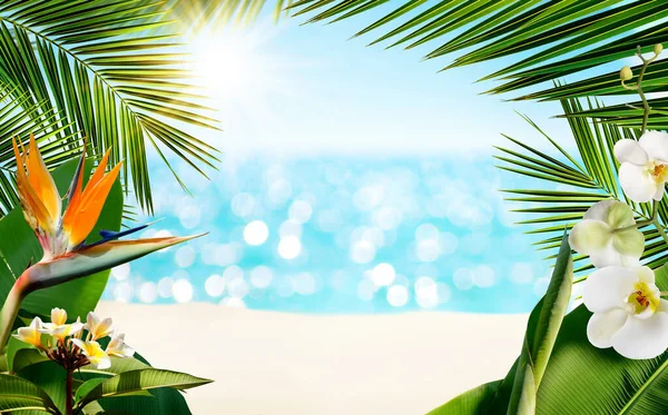 Тропический песчаный пляж с размытым морем в окружении тропических пальмовых листьев и цветов. — стоковое фото