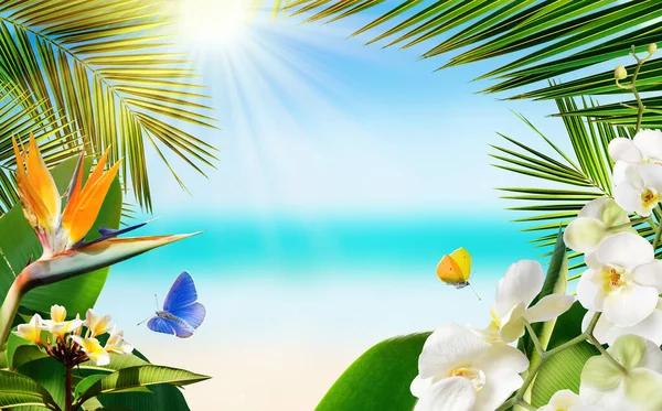 Тропический песчаный пляж с размытым морем тропические пальмовые листья, растения, цветы и бабочки — стоковое фото