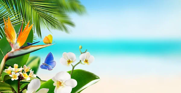 Бабочки летают вокруг тропических цветов растений и пальмовых листьев на размытом фоне пляжа и океана — стоковое фото