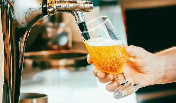 Barman derrama a cerveja em um copo da torneira. — Fotografia de Stock