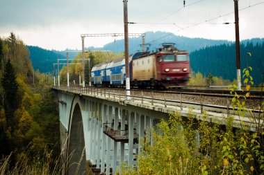 Bir viyadük üzerinde tren