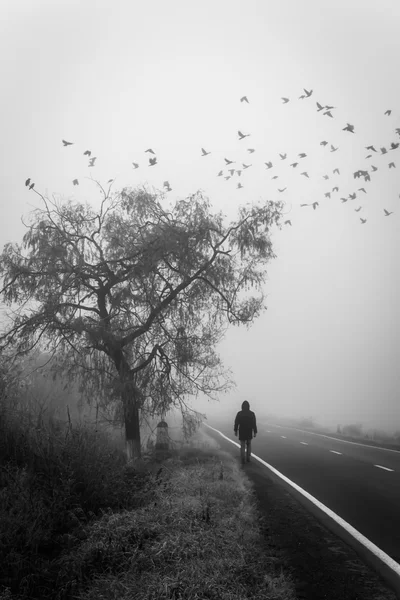 Man passing under a tree in the fog