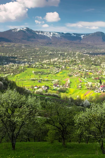 Maramures manzara bahar — Stok fotoğraf