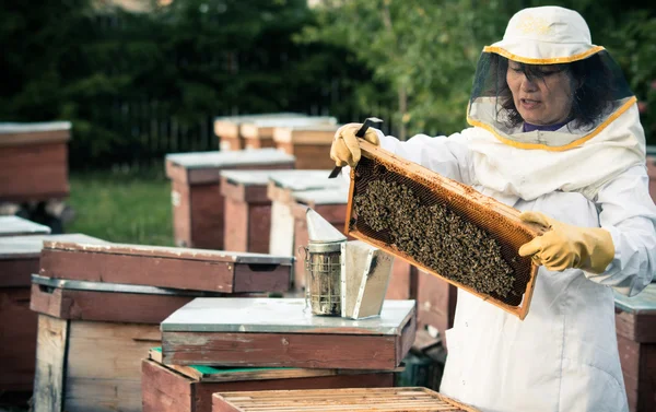 Пчеловод за работой — стоковое фото