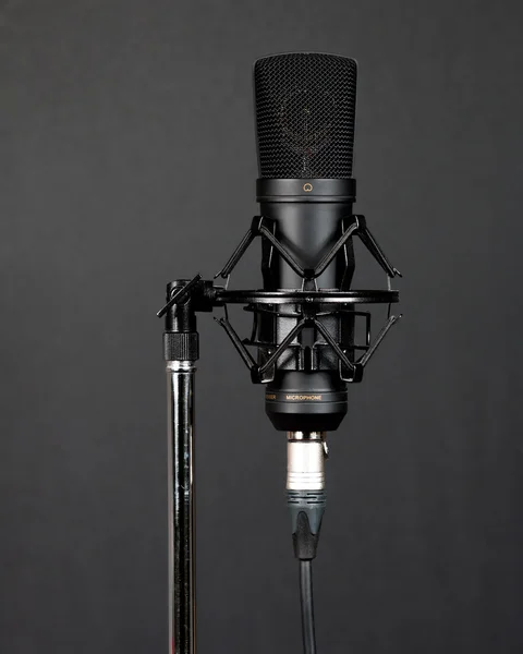 Grand microphone à condensateur à membrane — Photo