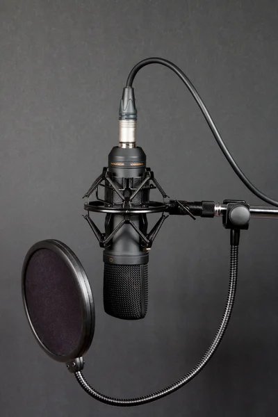 Büyük diyafram kondansatör mikrofon