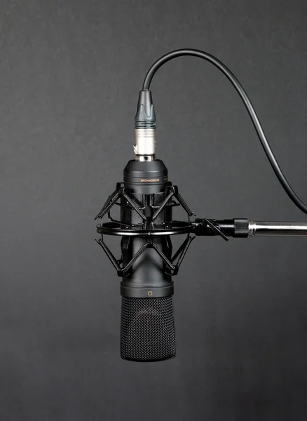 Grand microphone à condensateur à membrane — Photo