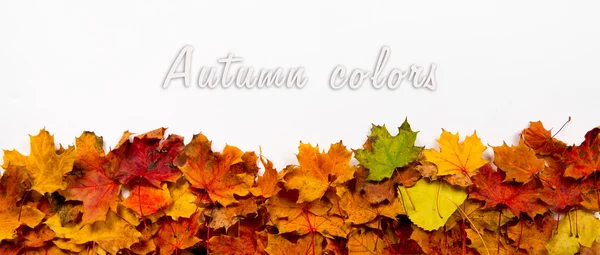 Sonbahar Yaprakları SancağıName