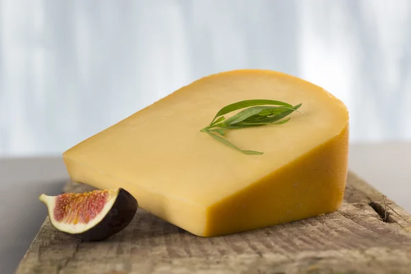 Hollander sajt - Gouda része — Stock Fotó