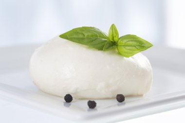 Fesleğenli mozzarella.