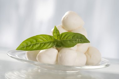 Yeşil Fesleğenli mozzarella topları