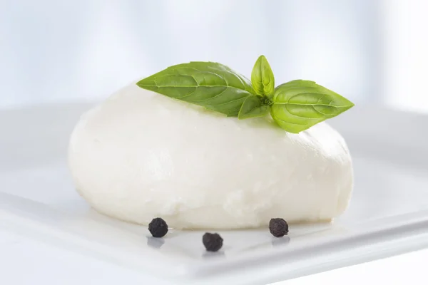 Mozzarella con basilico . — Foto Stock