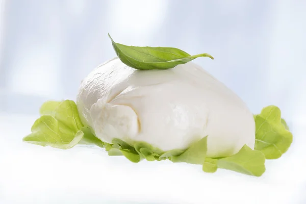 Mozzarella con albahaca . —  Fotos de Stock