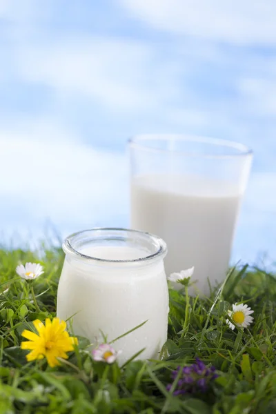 Milk and yoghurt on the grass with — Stock Photo, Image