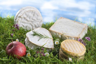 Speciaity cheese from Normandy France clipart